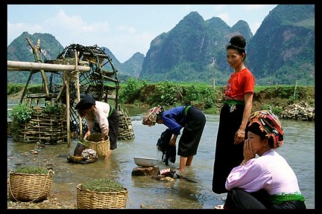 CÔNG TY CỔ PHẦN THƯƠNG MẠI VÀ DỊCH VỤ NEXTGEN TRAVEL