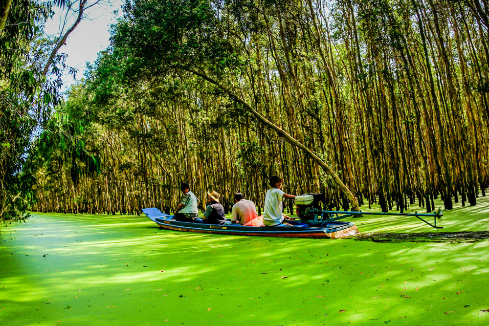 CÔNG TY CỔ PHẦN THƯƠNG MẠI VÀ DỊCH VỤ NEXTGEN TRAVEL