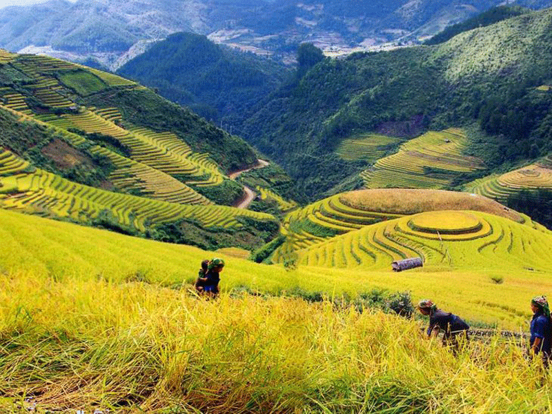 CÔNG TY CỔ PHẦN THƯƠNG MẠI VÀ DỊCH VỤ NEXTGEN TRAVEL