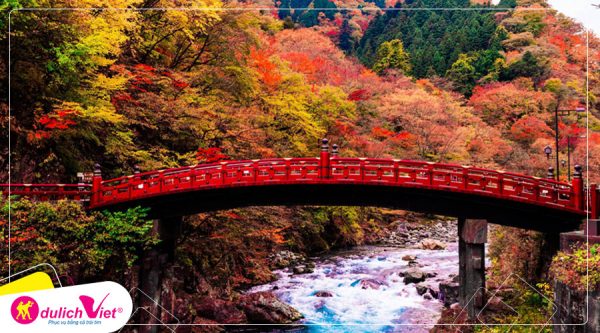 CÔNG TY CỔ PHẦN THƯƠNG MẠI VÀ DỊCH VỤ NEXTGEN TRAVEL
