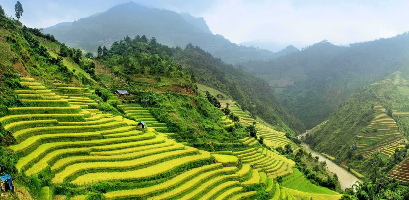 CÔNG TY CỔ PHẦN THƯƠNG MẠI VÀ DỊCH VỤ NEXTGEN TRAVEL
