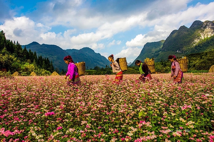 CÔNG TY CỔ PHẦN THƯƠNG MẠI VÀ DỊCH VỤ NEXTGEN TRAVEL