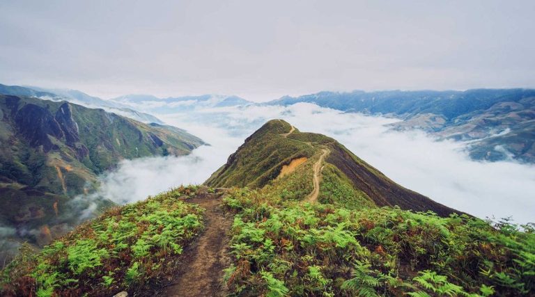 Đỉnh Gió Tà Xùa