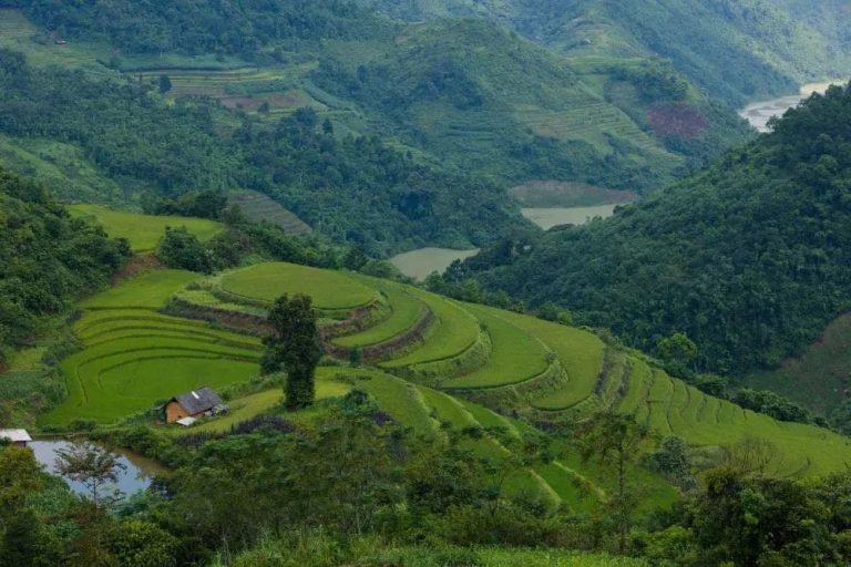 Tour Hà Giang 3N4D - Cao Nguyên Đá Kết Hợp Bản Làng Du Già