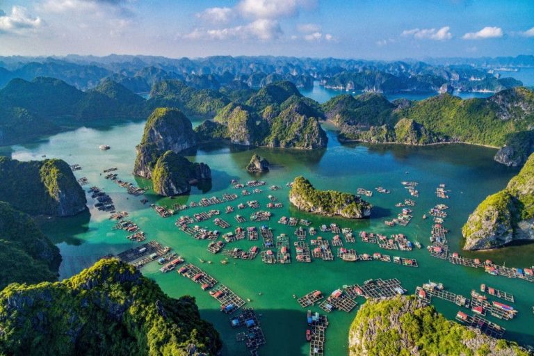 Tour Hạ Long 3 Ngày 2 Đêm