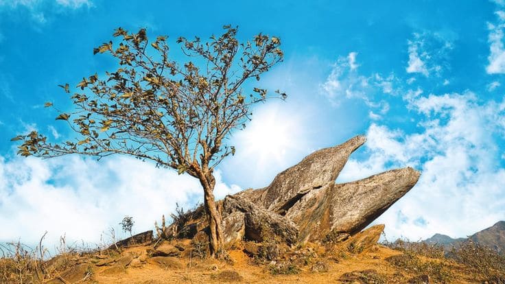 Mỏm Đá Đầu Rùa