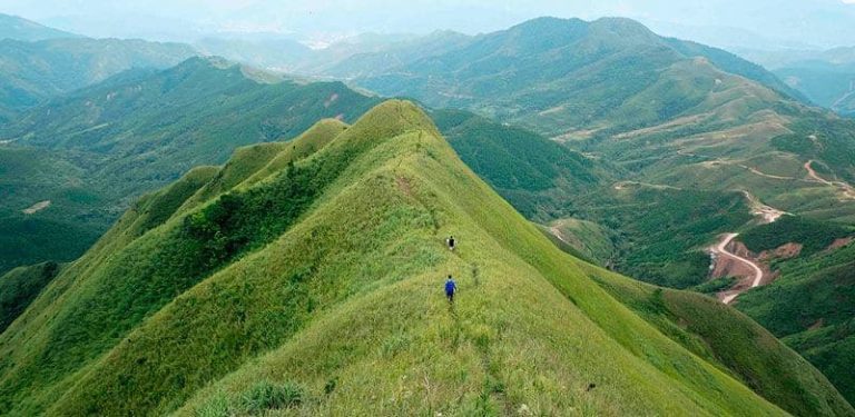 Sống Lưng Khủng Long