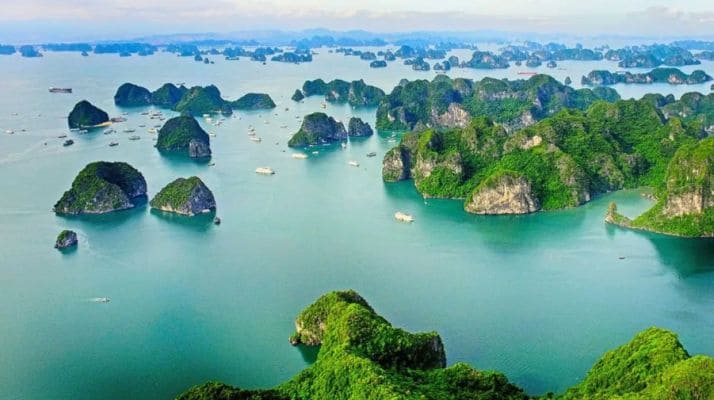 Vịnh Bái Tử Long