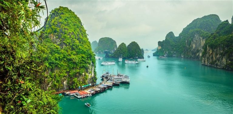 Tour Cát Bà 3 Ngày 2 Đêm