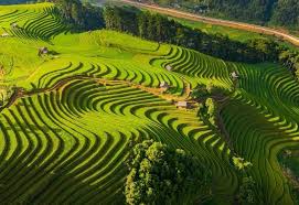 CÔNG TY CỔ PHẦN THƯƠNG MẠI VÀ DỊCH VỤ NEXTGEN TRAVEL